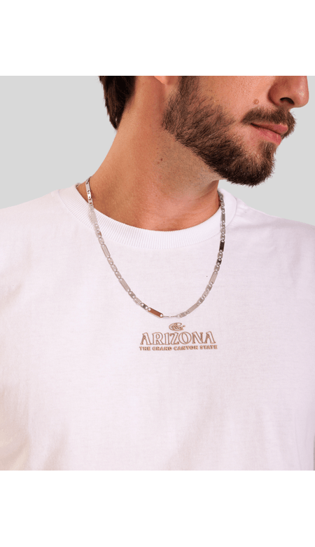 Camiseta Masculina Básica com Estampa Arizona Deserto nas Costas